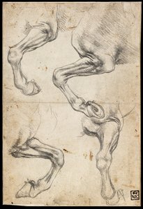 Hevosten jalkojen tutkimukset tekijältä Leonardo da Vinci