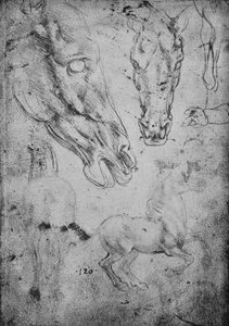 Tutkimuksia hevosista ja hevosten päistä, c1480 1945 tekijältä Leonardo da Vinci