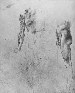 Tutkimuksia alaston miehestä katsottuna takaa ja sivulta, c1480 1945 tekijältä Leonardo da Vinci