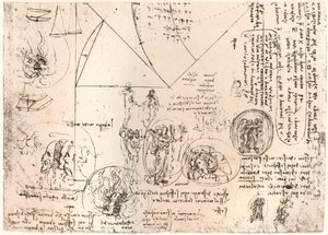 Tunnustutkimukset, c1472-c1519 1883 tekijältä Leonardo da Vinci
