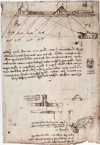 Leonard de Vincin (Leonardo da Vinci) (1452 - 1519) tutkimus meriharasta. Piirustus kynällä ja musteella. tekijältä Leonardo da Vinci