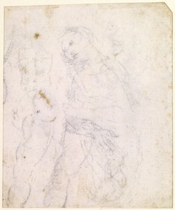 Tutkimus Madonnasta [kääntöpuoli] tekijältä Leonardo da Vinci