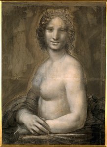 Naisalaston tutkiminen luultavasti Mona Lisan rintakuvassa oletetaan Mona Lisaa (tai Monna Lisaa). Piirustus ruskealle paperille mustalla kivellä Leonard de Vincin koulusta (Leonardo da Vinci) (1452-1519) Dim. 0,72 x 0,54 m. Chantilly, Conde-museo