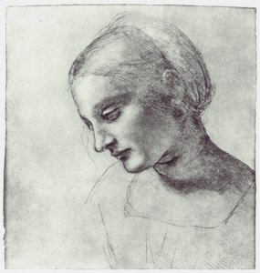 Madonnan pää, c1484-1486 tekijältä Leonardo da Vinci