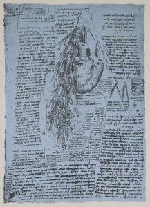 Sydän ja keuhkoputken valtimot, faksimile Windsor-kirjasta (kynä ja muste paperille) tekijältä Leonardo da Vinci
