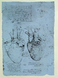 Sydän, Windsor-kirjan faksimile (kynä ja muste paperille) tekijältä Leonardo da Vinci