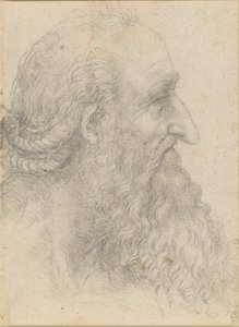 Vanhan parrakkaan miehen pää, n. 1517. tekijältä Leonardo da Vinci