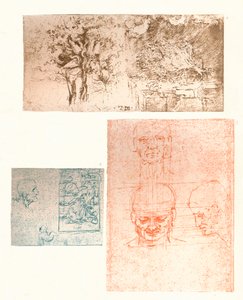 Kolme piirustusta, c1472-c1519 1883 tekijältä Leonardo da Vinci