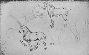 Kaksi tutkimusta hevosista, yksi laukkaavasta ratsastajasta ja muita hevosten jaloista, c1480 1945 tekijältä Leonardo da Vinci