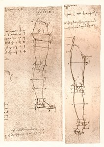 Kaksi piirustusta havainnollistavat teoriaa ihmishahmon mittasuhteista, c1472-c1519 1883 tekijältä Leonardo da Vinci