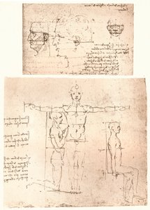 Kaksi piirustusta havainnollistavat teoriaa ihmishahmon mittasuhteista, c1472-c1519 1883. tekijältä Leonardo da Vinci