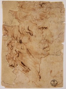 Tuntematon kuva tekijältä Leonardo da Vinci