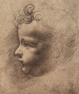 Pienen pojan pää; Leonardo da Vincin piirustus. Louvre, Pariisi tekijältä Leonardo da school of Vinci