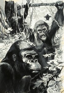 Gorillat tekijältä Leslie Field Evans