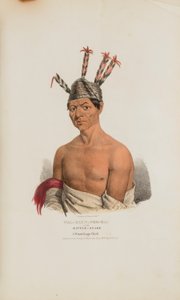 WAA-KAUN-SEE-KAA eli kalkkarokäärme; Winnebagon päällikkö, julkaisusta The Aboriginal Portfolio (Aboriginaalisalkku) tekijältä Lewis, James Otto