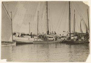 [Osteriveneet, Mobile Bay, Alabama]