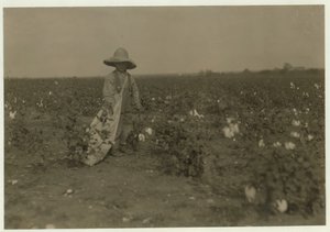 5-vuotias Willie Hesse poimii 15 kiloa puuvillaa päivässä vanhempiensa 80 hehtaarin maatilalla lähellä West, Texas, 1913 tekijältä Lewis Wickes Hine