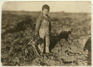 6-vuotias Jo vetää sokerijuurikkaita maatilalla lähellä Sterlingiä Coloradossa, 1915 tekijältä Lewis Wickes Hine