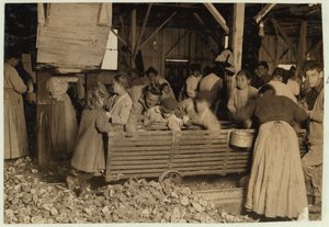 Bill May, 5-vuotias, joka tienaa 15 senttiä päivässä Barataria Canning Companyn siivousvajassa, Biloxissa, Mississippissä, 1911 tekijältä Lewis Wickes Hine