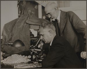  tekijältä Lewis Wickes Hine