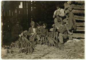 Sons of J.H. 12-, 14- ja 17-vuotias Burch riisui tupakkaa kouluaikoina Warren Countyssa, Rockfieldissä, Kentuckyssa, 1916 tekijältä Lewis Wickes Hine