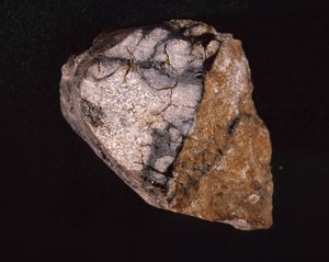 Meteoriitti löydettiin Intiasta vuonna 1875 - Museum d