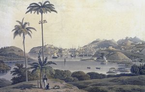 Näkymä St. Georgen kaupungista Grenadan saarella, otettu Belmont Estate -tilalta, kaivertaja William Daniell (1769-1837), noin 1810. tekijältä Lieutenant Colonel J. Wilson
