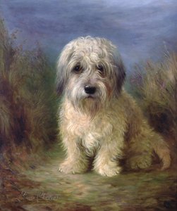 Dandie Dinmont Terrieri (öljy kankaalle)