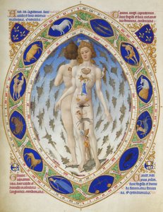 Très Riches Heures du Duc de Berry: Anatominen mies