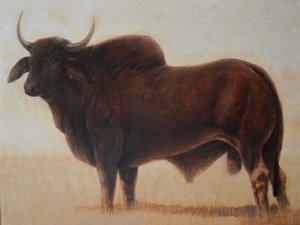 Brahmin Bull tekijältä Lincoln Seligman