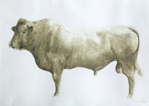 Islay Bull, 2004 (akryyli kankaalle)