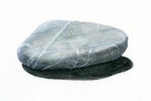 Kivi (akryyli paperille)