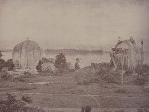 Mengoon: Ruined Griffins tekijältä Linnaeus Tripe