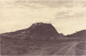 Namculdry: Dry and Tank tekijältä Linnaeus Tripe