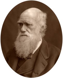 Charles Darwin, 1878.