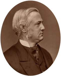 Frederick Max Muller, vertailevan filologian professori Oxfordin yliopistossa, 1878.