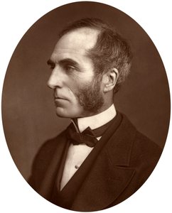 Goldwin Smith, professori, 1878
