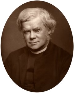 Pastori John Saul Howson, Chesterin dekaani, 1882. tekijältä Lock and Whitfield