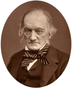 Richard Owen, 1878. tekijältä Lock and Whitfield