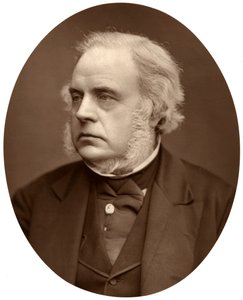 Oikea Hon John Bright, Birminghamin kansanedustaja, 1876. tekijältä Lock and Whitfield