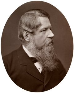 Oikea Sir Stafford Henry Northcote, Bart, kansanedustaja, valtiovarainministeri, 1877. tekijältä Lock and Whitfield