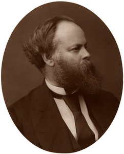 Samuel Plimsoll, Esq, kansanedustaja, brittiläinen liberaalipoliitikko ja sosiaalinen uudistaja, 1876. tekijältä Lock and Whitfield