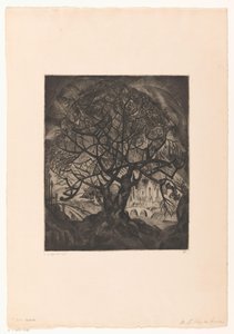 Arbre amb branques nues L
