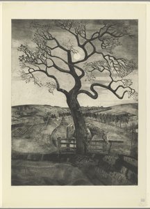 Hevonen niityllä lähellä Etikhovea Vieux cheval en repos (alkuperäinen nimi) tekijältä Lodewijk Schelfhout (signed by artist)