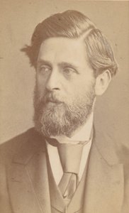 [Ludwig Johann Passini], vuoden 1867 jälkeen.