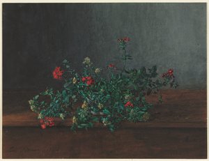 Natura morta amb flors silvestres finlandès tekijältä Léon Bonvin