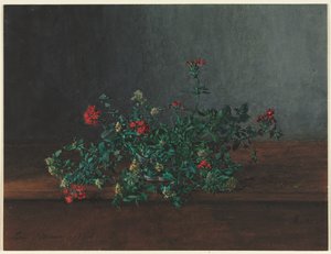 Asetelma luonnonvaraisten kukkien kanssa, 1864. tekijältä Léon Bonvin