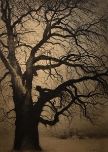 Léon Spilliaert (1881-1946) Puu talvella Brafa 2019 31-01-2019 31-01-2019 tekijältä Leon Spilliaert