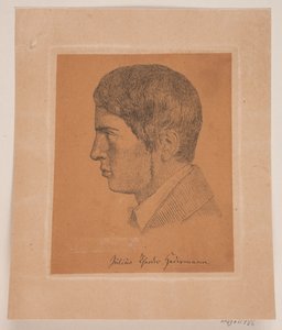 Julius Theodor Hedermann tekijältä Lorenz Frølich