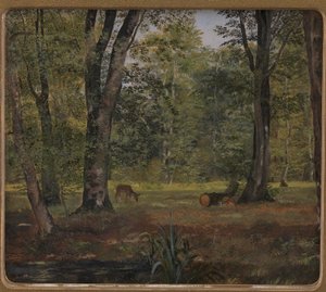 Charlottenlund Wood, Kööpenhaminan pohjoispuolella